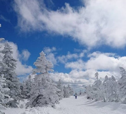 【Welcome Japan】『日本のサンモリッツ』標高日本一の粉雪を楽しむスノーツアー♪素泊まり